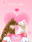 pic for good pair